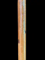 Cane with a spherical ivory knob featuring an intertwined snake engraved in high relief