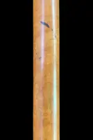 A walking stick with an ivory knob depicting a rose.