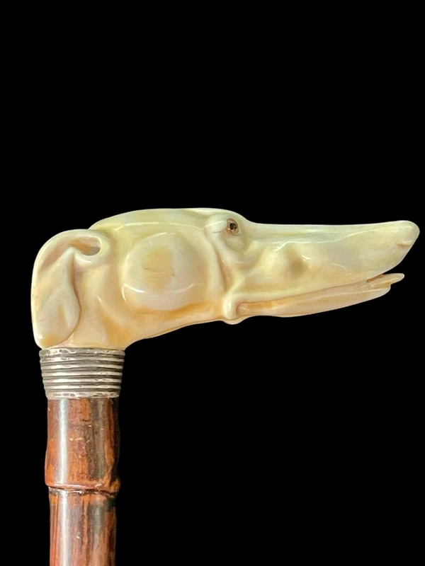 A cane with a side handle made of ivory in the shape of a greyhound's head.