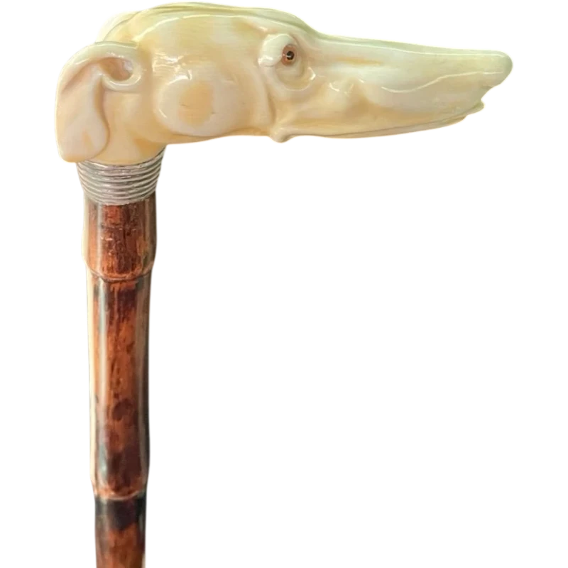 A cane with a side handle made of ivory in the shape of a greyhound's head.