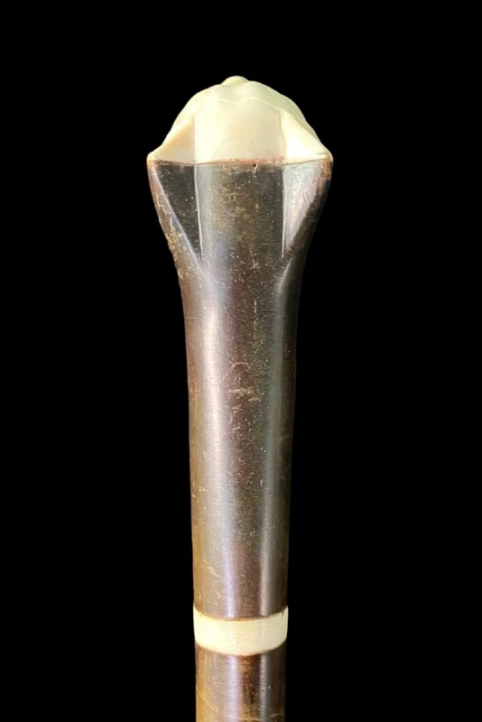 Bastone con pomolo a forma di testa di gatto in avorio.Canna in palissandro.