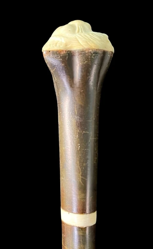 Bastone con pomolo a forma di testa di gatto in avorio.Canna in palissandro.