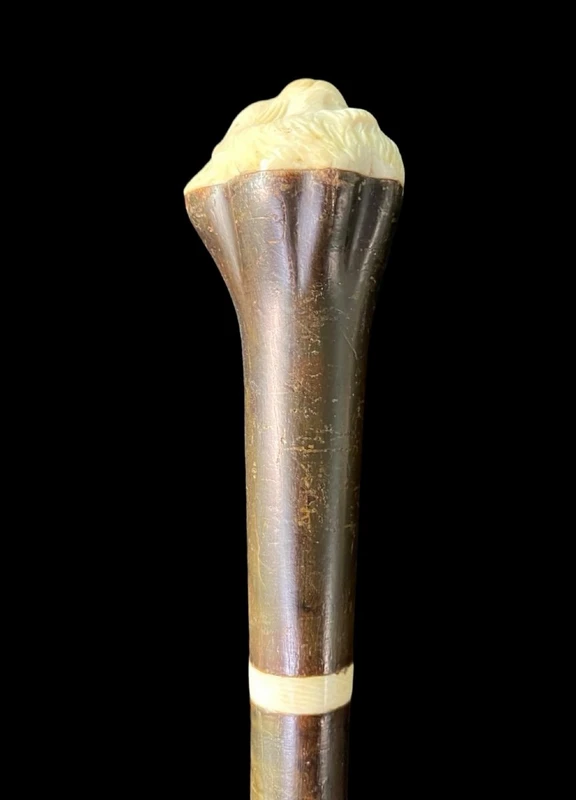 Bastone con pomolo a forma di testa di gatto in avorio.Canna in palissandro.