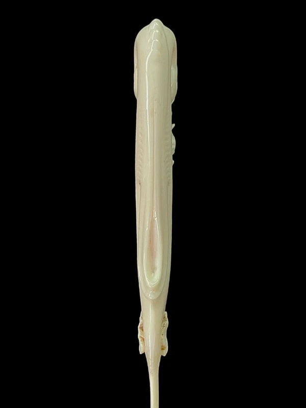 A one-piece ivory letter opener engraved with floral and rocaille motifs.