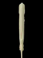 A one-piece ivory letter opener engraved with floral and rocaille motifs.