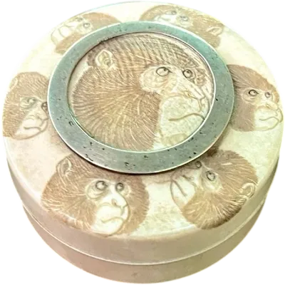 A small ivory box with monkeys engraved on the lid.