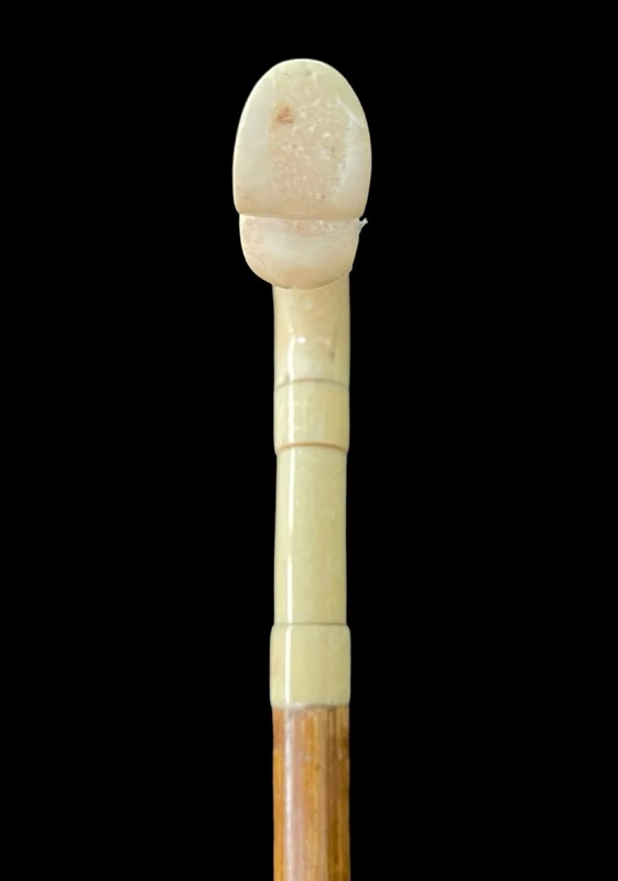 Cane with an ivory tau-shaped handle featuring a stylized rocaille motif.