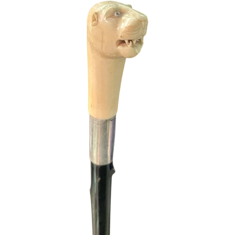 Cane with an ivory knob shaped like a lion's head.