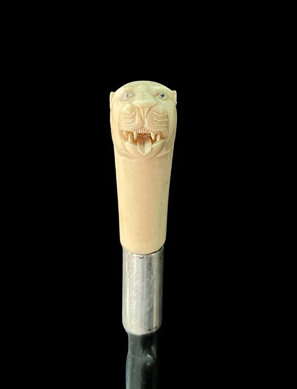 Cane with an ivory knob shaped like a lion's head.