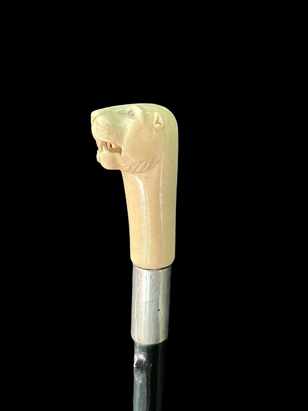 Cane with an ivory knob shaped like a lion's head.