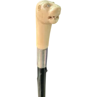 Cane with an ivory knob shaped like a lion's head.