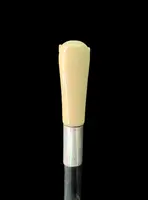 Cane with an ivory knob shaped like a lion's head.