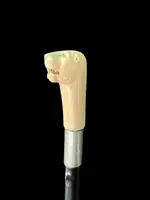 Cane with an ivory knob shaped like a lion's head.