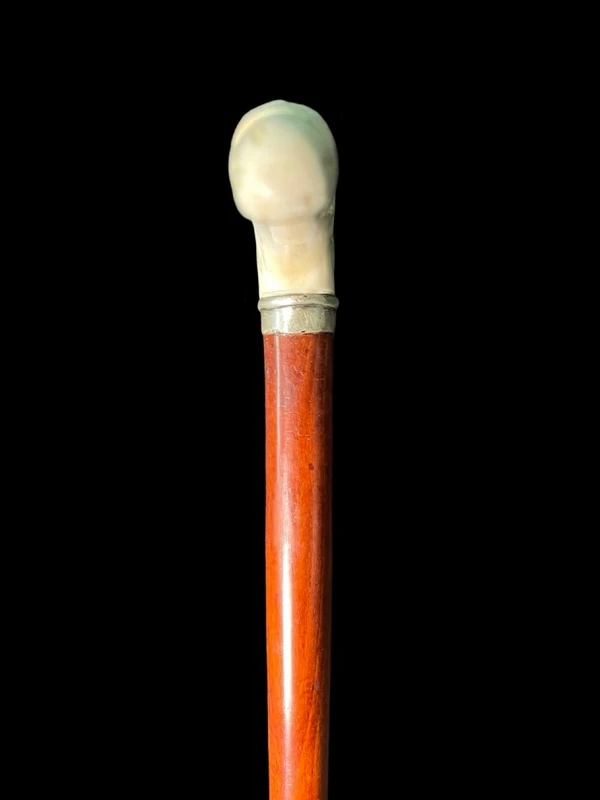 A staff with a side handle in the shape of a tau, made of ivory and depicting a snake hunting inside a tree trunk.