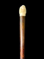 A walking stick with a side-mounted tau-shaped handle depicting a deer's head.