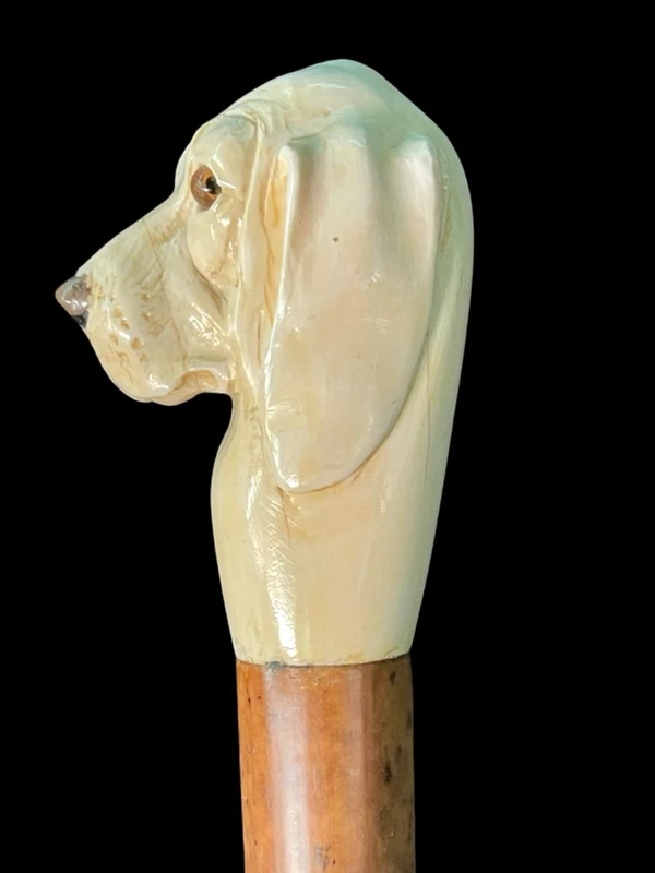 A walking stick with a knob shaped like a dog's head.