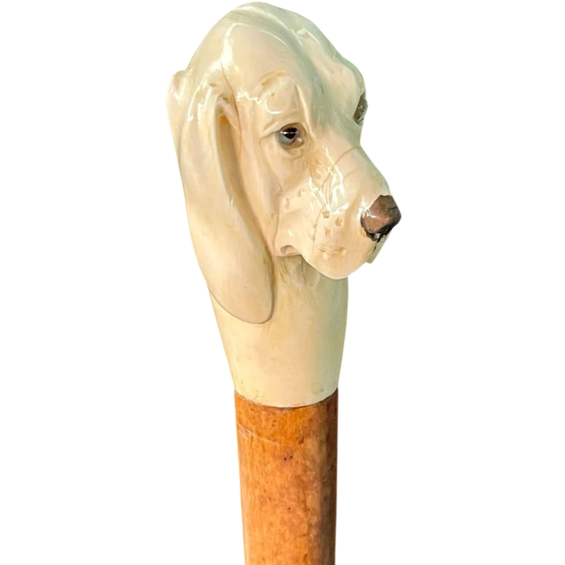 A walking stick with a knob shaped like a dog's head.