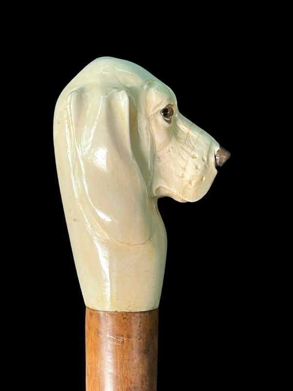 A walking stick with a knob shaped like a dog's head.