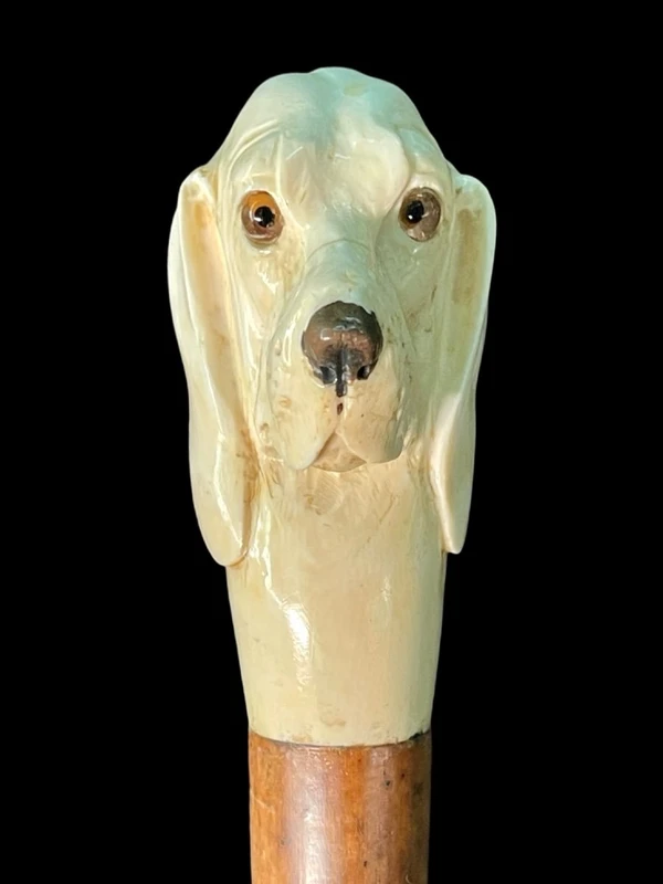 A walking stick with a knob shaped like a dog's head.