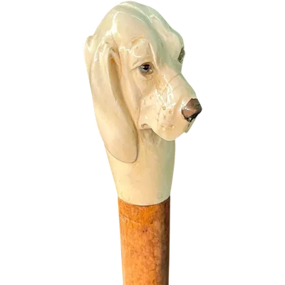 A walking stick with a knob shaped like a dog's head.