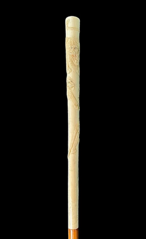 An evening cane with an ivory “plume” knob engraved with lions in bas-relief.