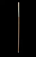 An evening cane with an ivory “plume” knob engraved with lions in bas-relief.