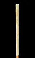 An evening cane with an ivory “plume” knob engraved with lions in bas-relief.