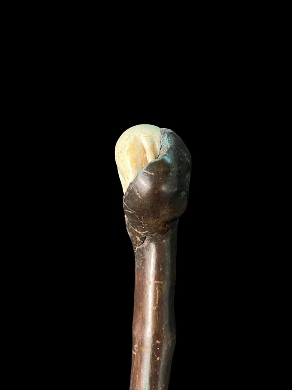 A walking stick with a partially ivory pommel featuring an elephant figure in high relief.