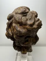 Sculpture en bois représentant une tête d'ange - Gênes (Italie), XVIIe siècle