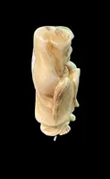 Ivory netsuke depicting a male figure wearing a cloak. Japan.