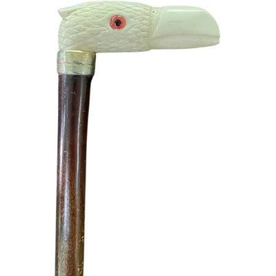 A walking stick with an ivory handle depicting a condor's head.