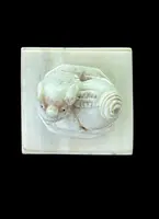 Sigillo in avorio con presa a forma di animale grottesco.