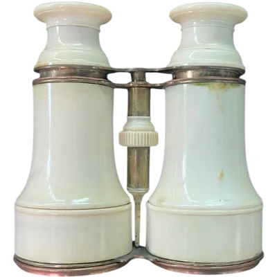 Ivory binoculars with brass accents.