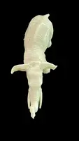 Petite sculpture en ivoire représentant un éléphant.
