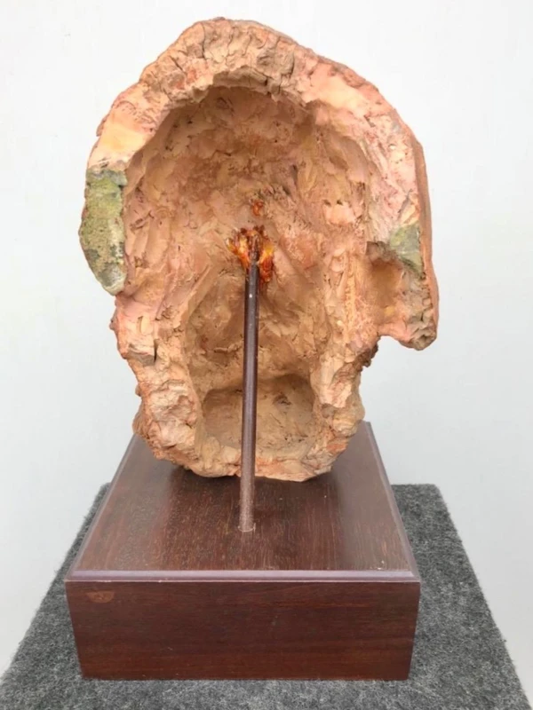 Terracotta sculpture depicting the head of a bearded man. Wooden base.