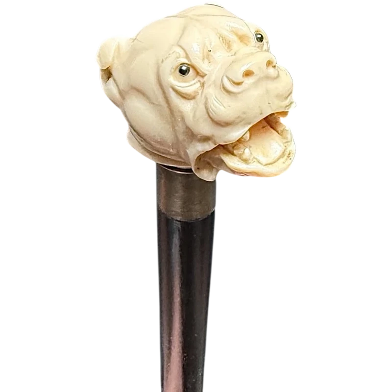 Bastone con pomolo in avorio raffigurante cane molosso.
