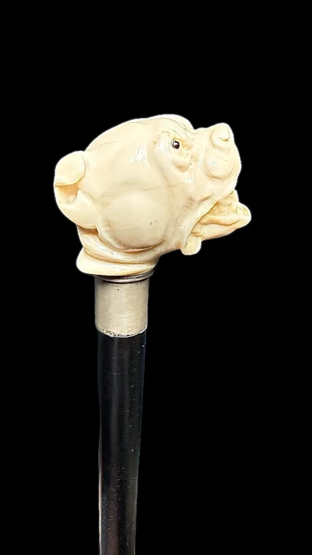 Bastone con pomolo in avorio raffigurante cane molosso.