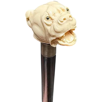 Walking stick with an ivory knob depicting a Molosser dog.