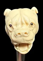 Bastone con pomolo in avorio raffigurante cane molosso.