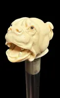 Bastone con pomolo in avorio raffigurante cane molosso.
