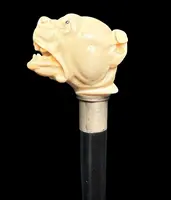 Bastone con pomolo in avorio raffigurante cane molosso.