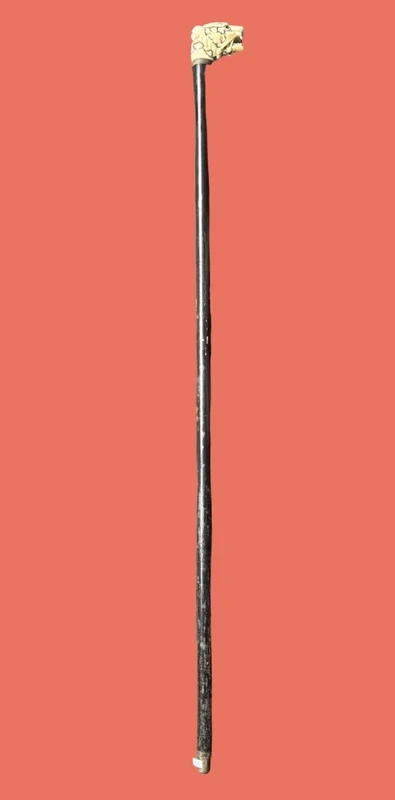 A walking stick with an ivory knob shaped like a tiger's head.