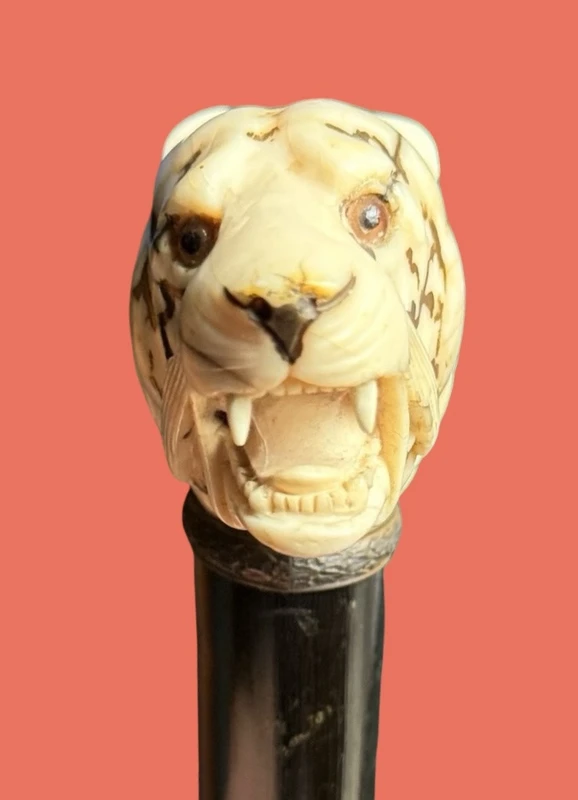 A walking stick with an ivory knob shaped like a tiger's head.