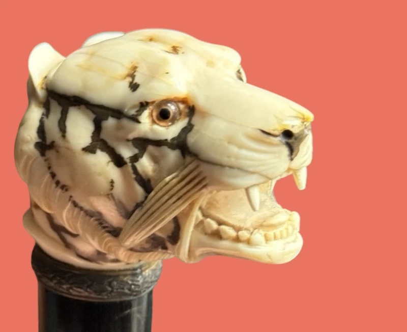 A walking stick with an ivory knob shaped like a tiger's head.