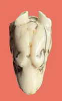A walking stick with an ivory knob shaped like a tiger's head.