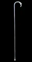 A walking stick with a silver knob shaped like an elephant's head.