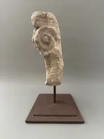 Capitello corinzio a colonna piatta - prima metà del XVI sec.