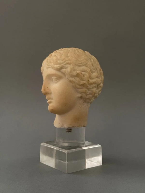 Sculpted head in statuary marble by Artemide—18th century—Italy