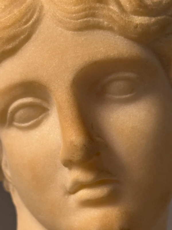 Sculpted head in statuary marble by Artemide—18th century—Italy