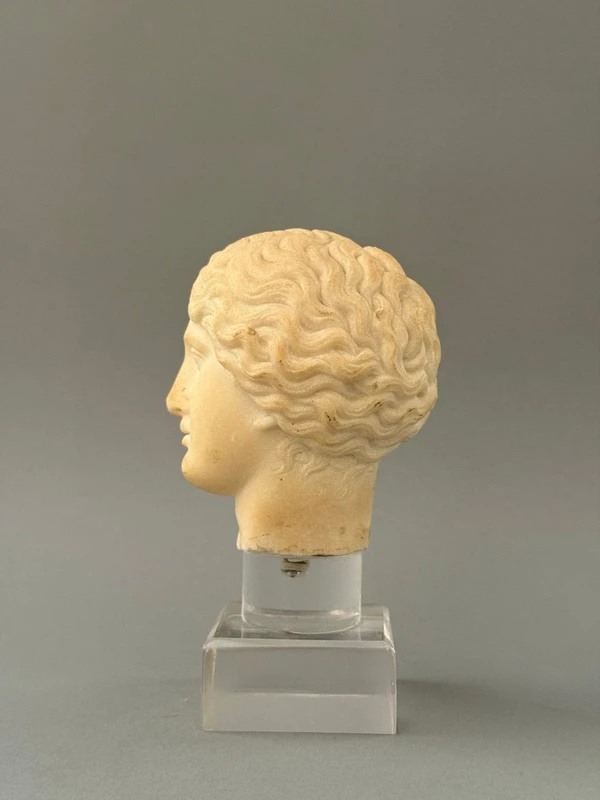 Sculpted head in statuary marble by Artemide—18th century—Italy